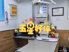 -爱侣宠医·鹦鹉专科·小型哺乳类·异宠专科(灵石路店)