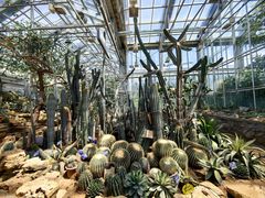 -国家植物园南园