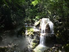 -牛背梁国家森林公园