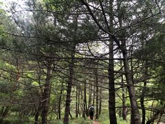 -终南山国家森林公园