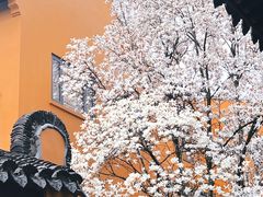 -龙华寺