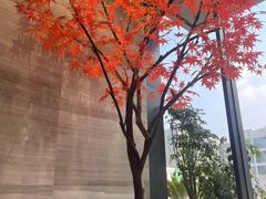 -唐宫足道·SPA·影院会馆(木渎店)