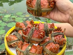 -七的湖·晚芳亭·阳澄湖农家菜·大闸蟹(莲花岛店)