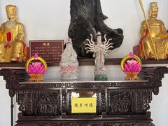-葛仙湖公园