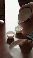 -浙江1+1主持人工作室