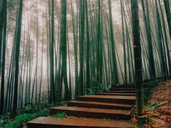 -蜀南竹海景区