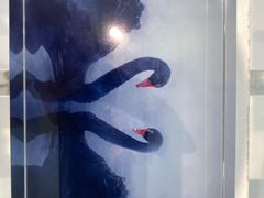 -罗红摄影艺术馆