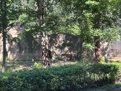 -秦皇岛野生动物园