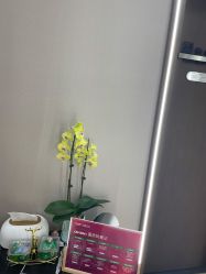 -杭州米兰柏羽医疗美容医院