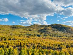 -莫尔道嘎国家森林公园