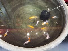 -张一元(世纪金源购物中心东区店)