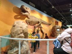 -北京科学中心儿童乐园