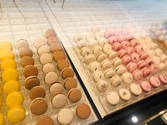 -BLACKSWAN黑天鹅(环球店)
