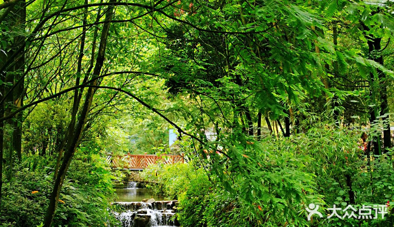 闯入熊猫🐼睡眠王国？[害羞]