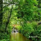 闯入熊猫🐼睡眠王国？[害羞]