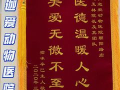 -美迦爱-动物医院·骨科·牙科·夜诊(朝阳路诊疗中心)