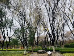 -昆山城市生态森林公园