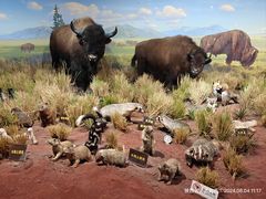 -陕西自然博物馆