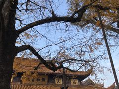 -溪口-滕头旅游景区