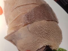 九鼎招牌脆毛肚-九鼎轩脆毛肚火锅(三钢里店)