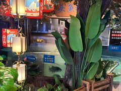 -坛宗剁椒鱼头(河西王府井店)