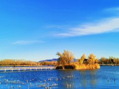 -野鸭湖国家湿地公园