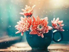 -星美国际影商城(黄龙店)