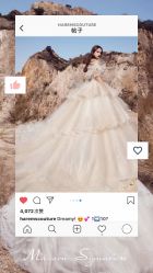 -Renee芮亦婚纱(原丽莎)