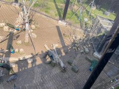 -武汉动物园
