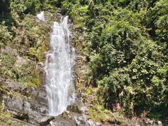 -鼎湖山风景区