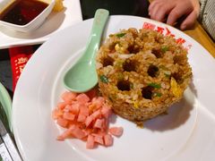 蜀江龙炒饭-蜀江龙火锅(339店)