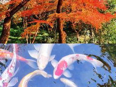 -中国茶叶博物馆(双峰馆区)