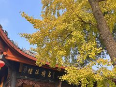 -田鸭肠·非遗火锅(彭州店)