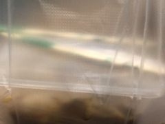 -修记牛杂店(同华东一路店)