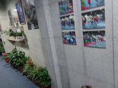 -格斗兄弟搏击健身训练馆(望京店)