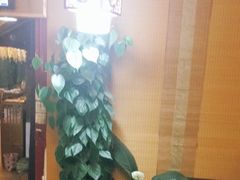 -阿鹏故事云南野生菌火锅(人民路店)
