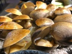 赤贝-鑫釜山海鲜烧烤(浑南店)