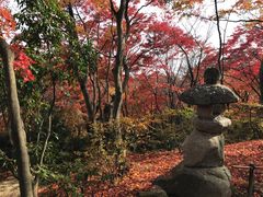 -常寂光寺