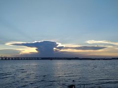 -宝安西湾红树林湿地公园