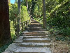 -东天目山风景区