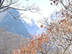 -周口店坡峰岭风景区