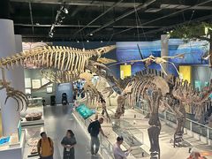 -国家自然博物馆