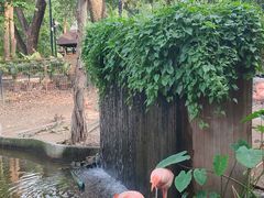 -清迈夜间动物园