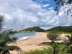 -广东惠东海龟国家级自然保护区