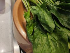 -龍歌自助小火锅(李沧丽达店)
