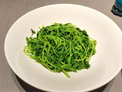 -润苑(徐汇店)