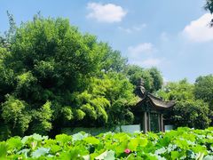 -莲湖公园
