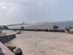 -上海滨江森林公园
