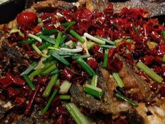 -老板恋上鱼(环山路店)