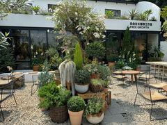 -自由生长植物工作室(深港花卉中心店)